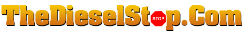 TDS Logo